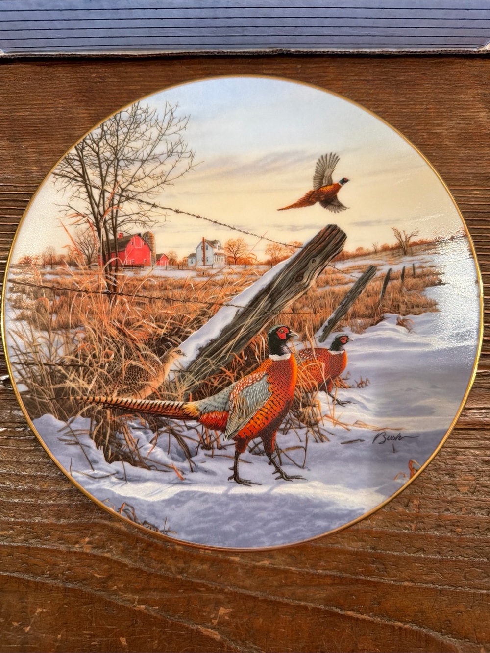 WINTER COLORS RING-NECKED PHEASANT Plate Field Birds of North America D. Bush - Picture 4 of 4